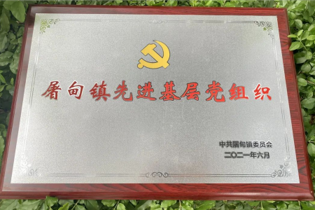 曼得麗獲得“先進(jìn)基層黨組織”稱(chēng)號(hào)